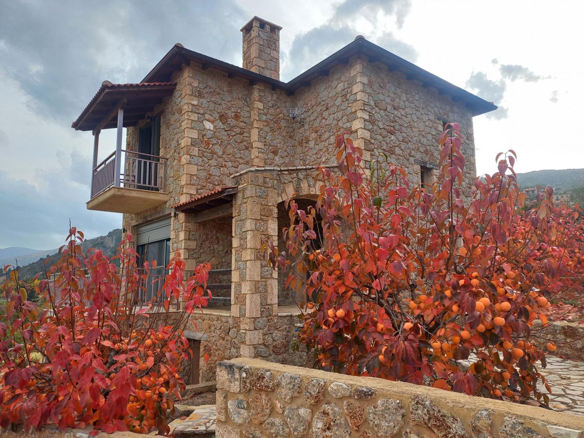 Holiday home Konstantina 4 Ambelokipoi (Corinthia)